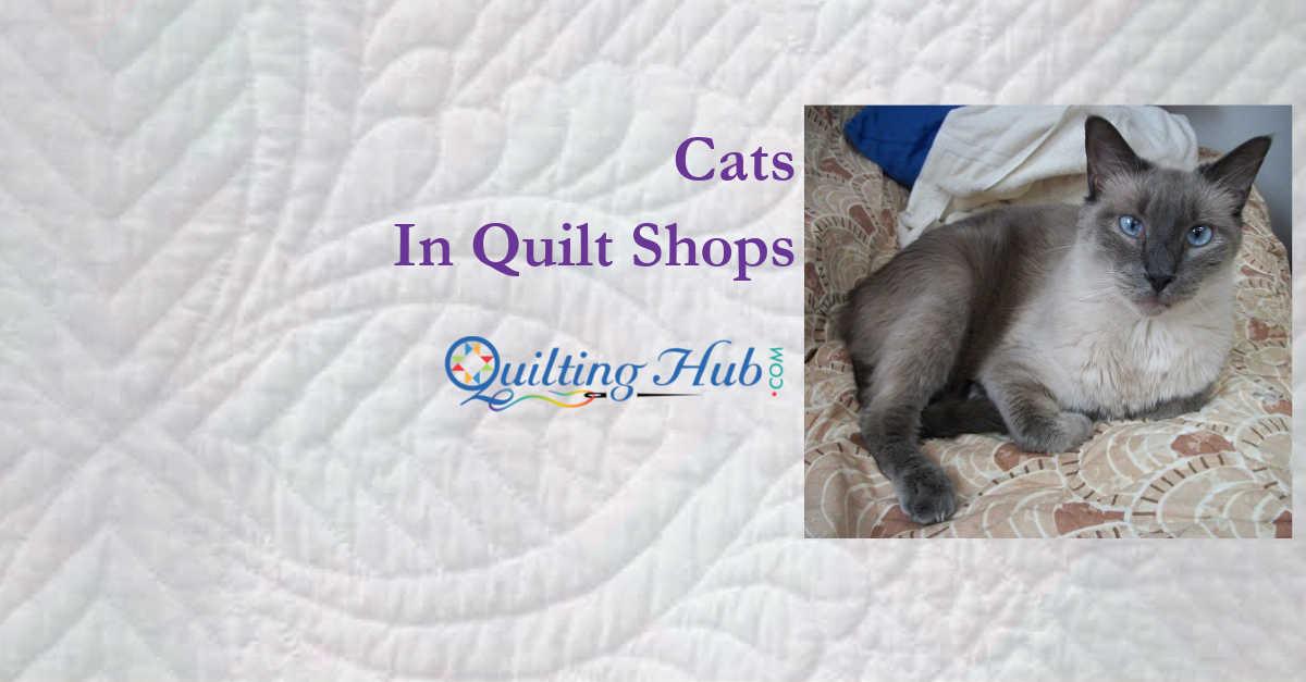 Cats In Quilt Shops