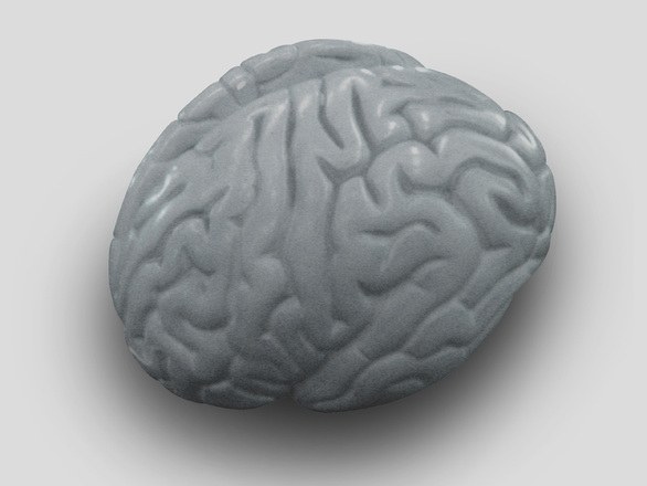 brain