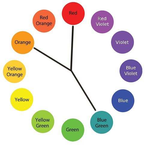 Color Theory and Complementary Palette online class