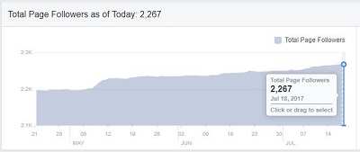 Facebook Likes