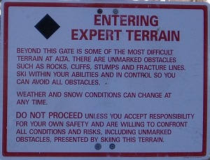 experts