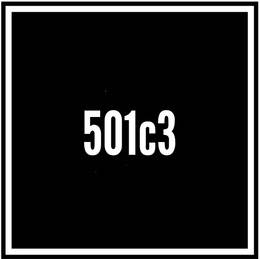 501c3