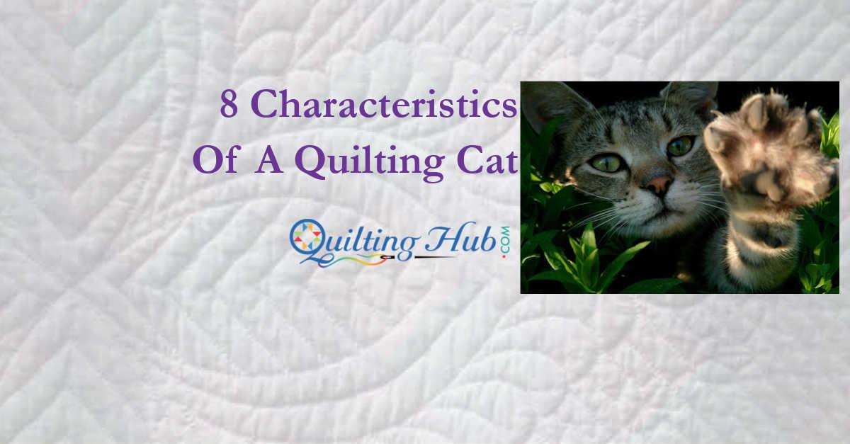 8 Characteristics Of A Quilting Cat