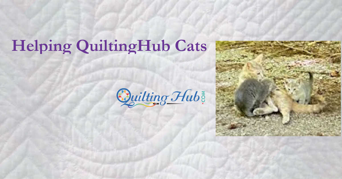 Helping QuiltingHub Cats