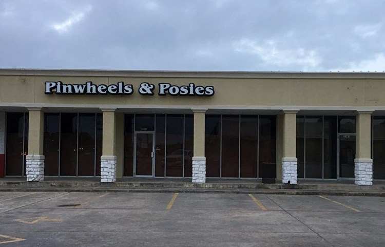 Pinwheels and Posies in Dickinson, Texas on QuiltingHub